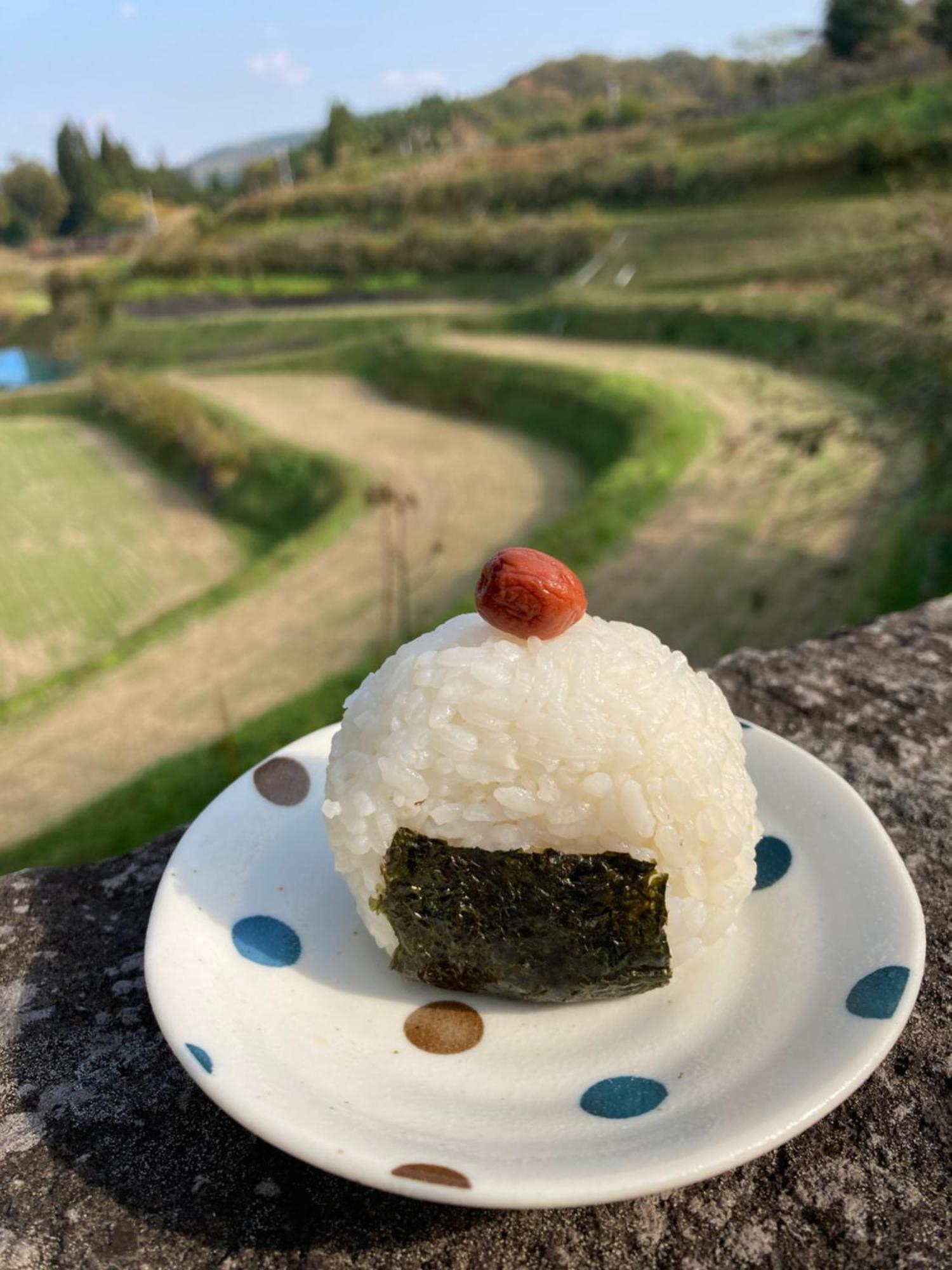 体験型農家民泊「お陽さまと風」 Appartement Bungoono Buitenkant foto